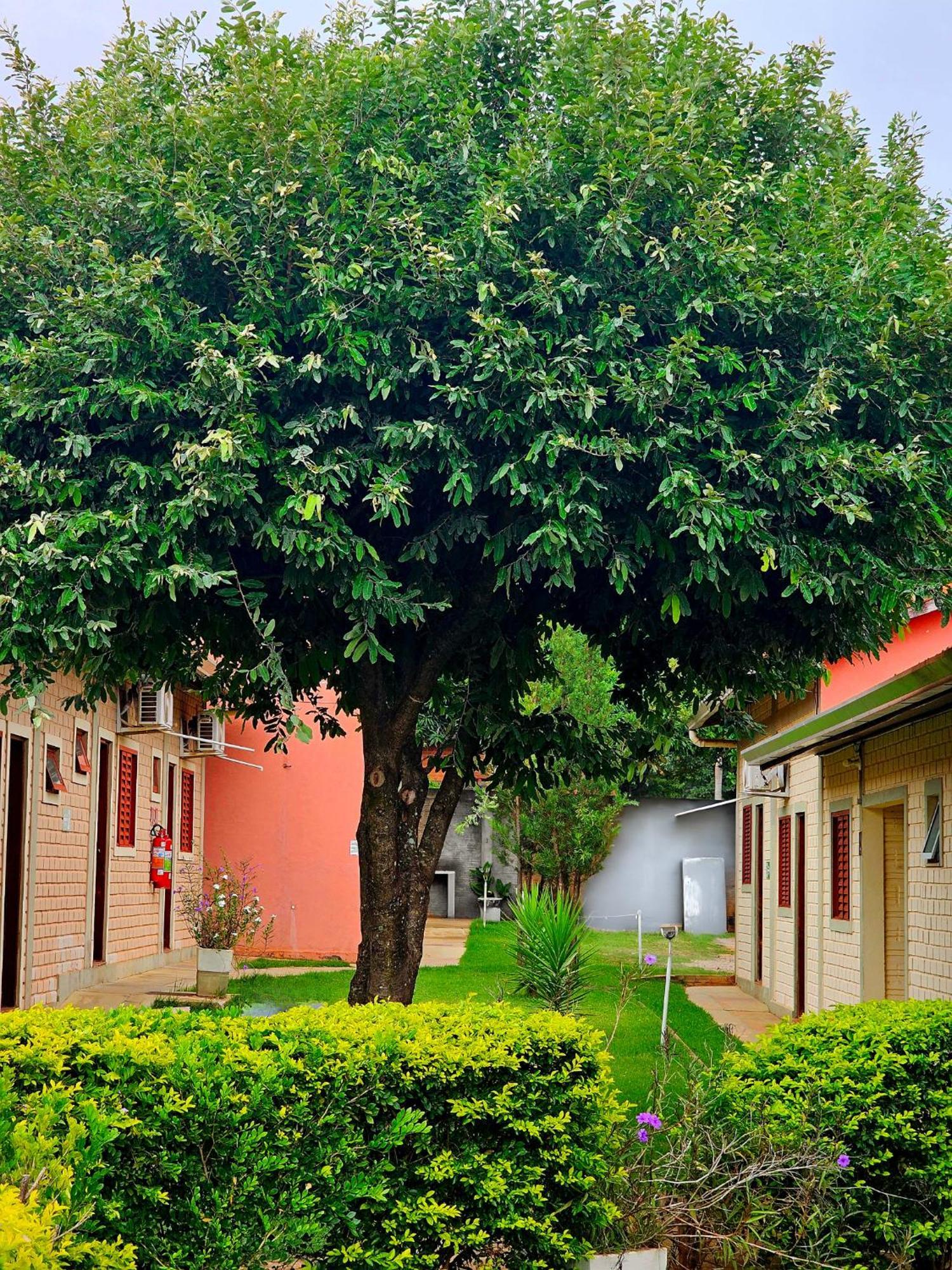 Bonito Hi Hostel E Pousada 外观 照片